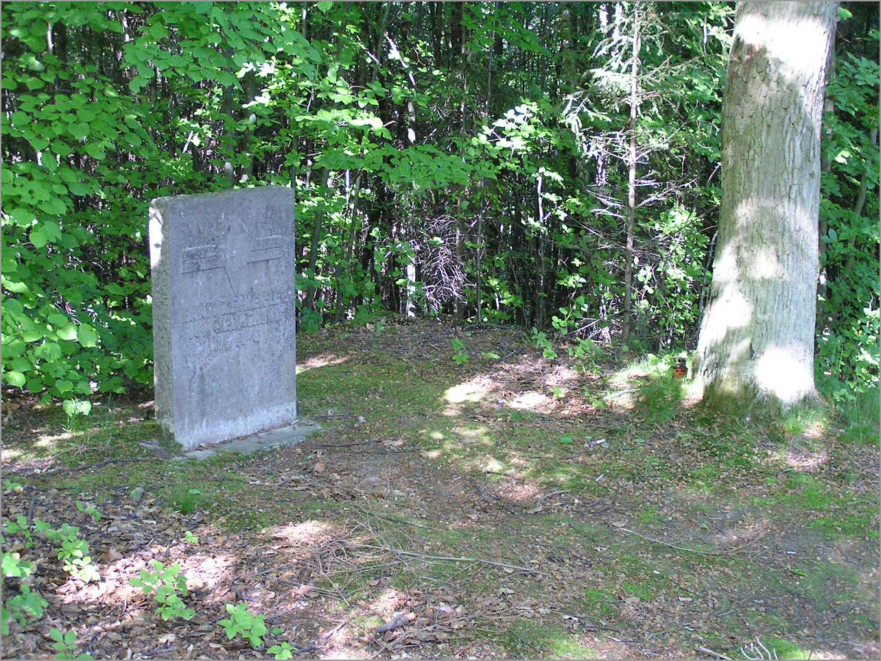 P1010006.JPG