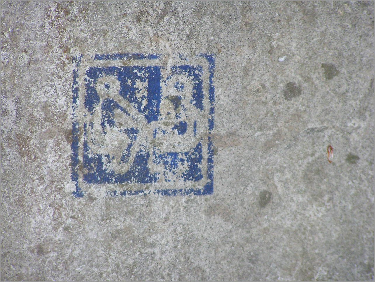 P1010007.JPG