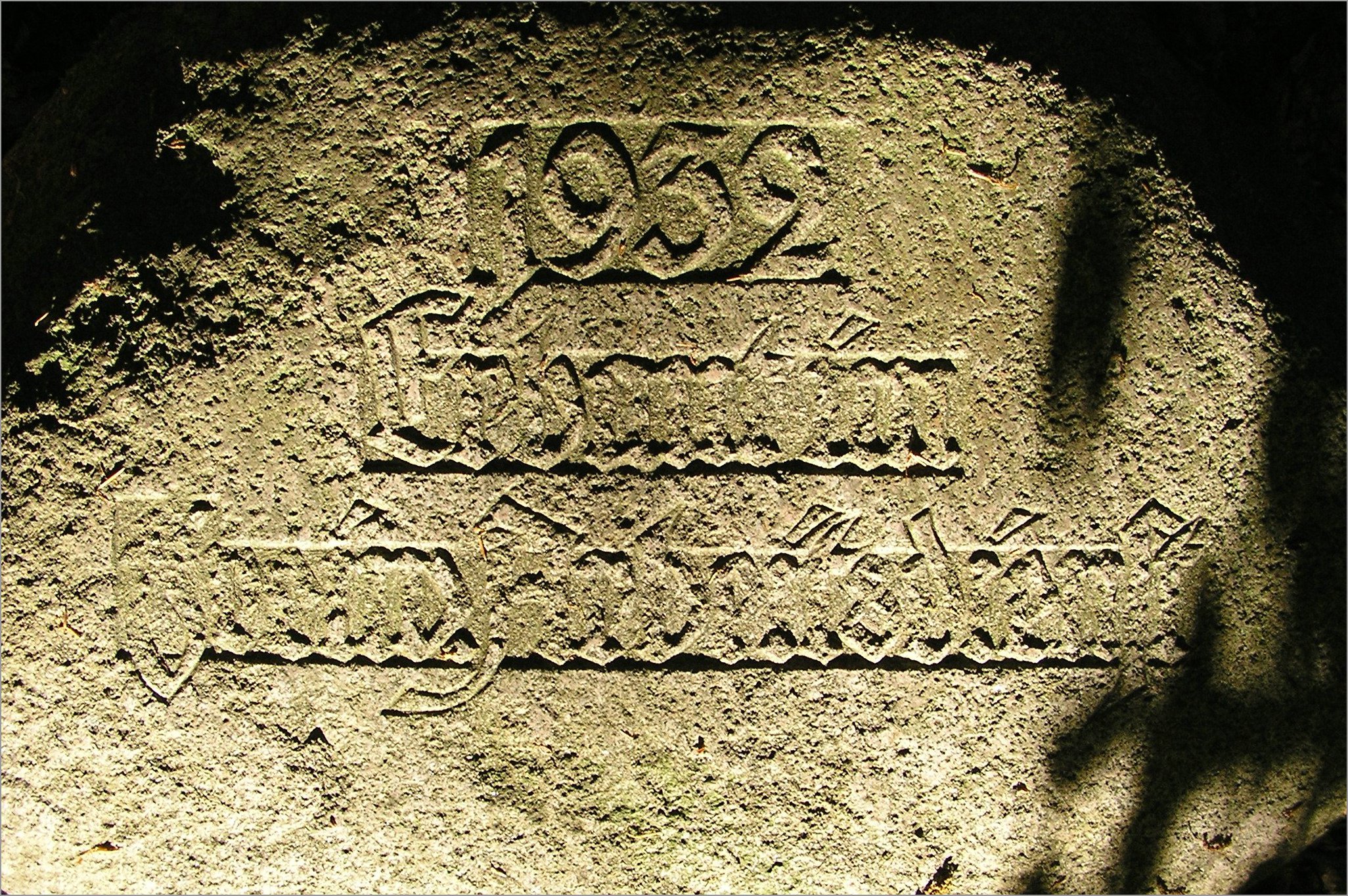 P1010011.jpg