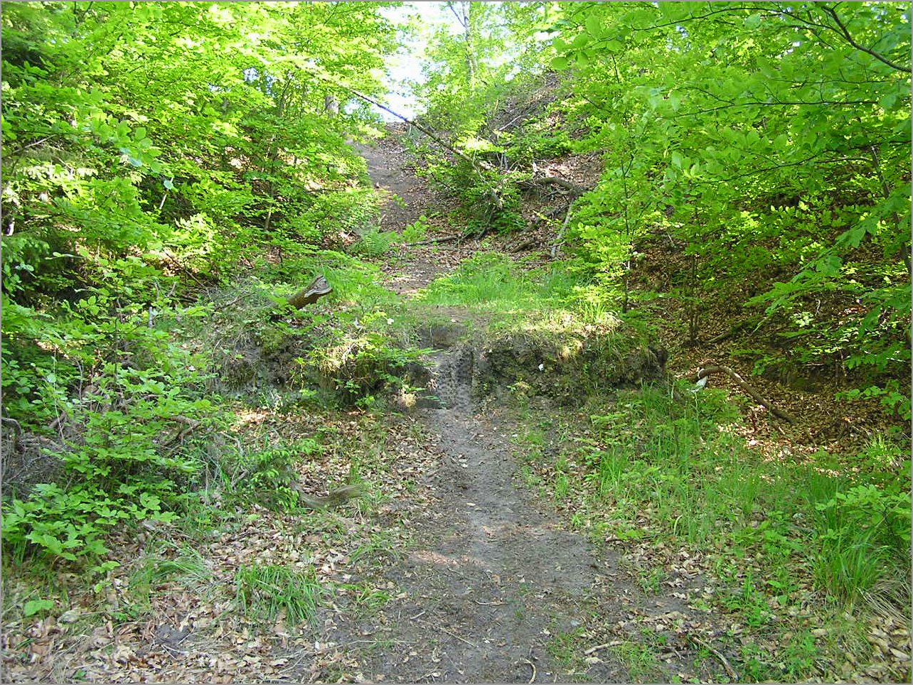 P1010024.JPG