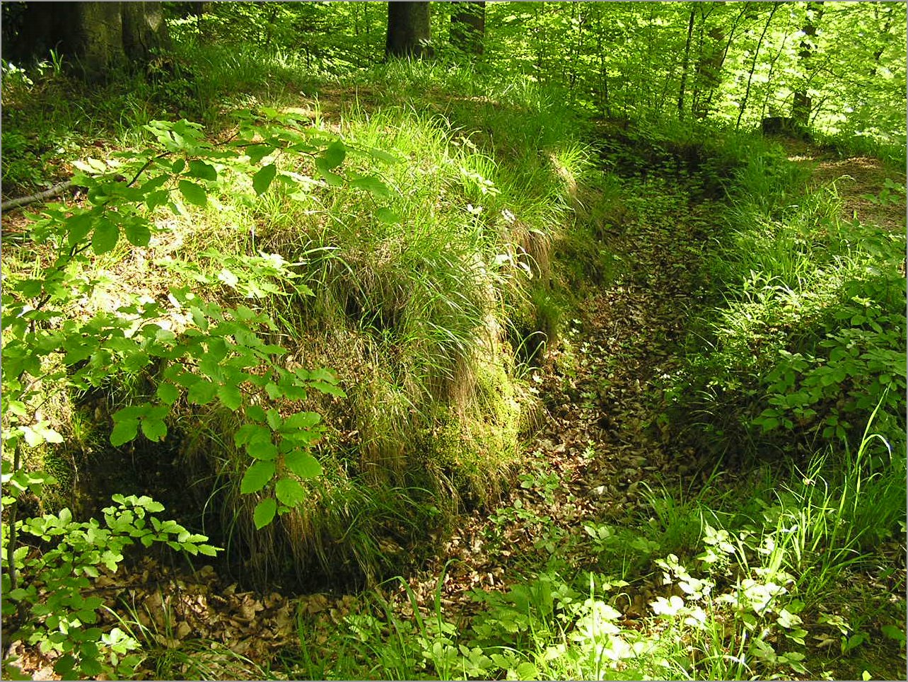 P1010026.JPG
