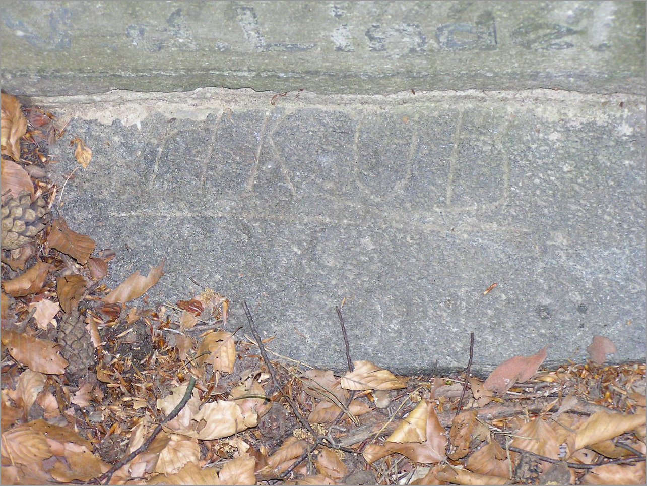 P1010036.JPG