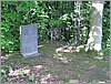 P1010006.JPG