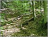 P1010012.JPG