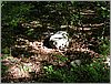 P1010020.JPG