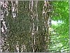 P1010021.JPG