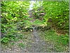 P1010024.JPG