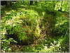 P1010026.JPG