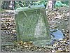 P1010031.JPG