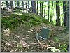 P1010035.JPG