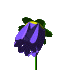 :k5: