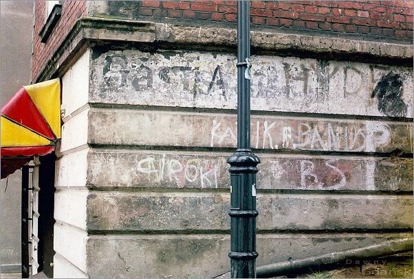 78.1 Zaroslak 8.jpg