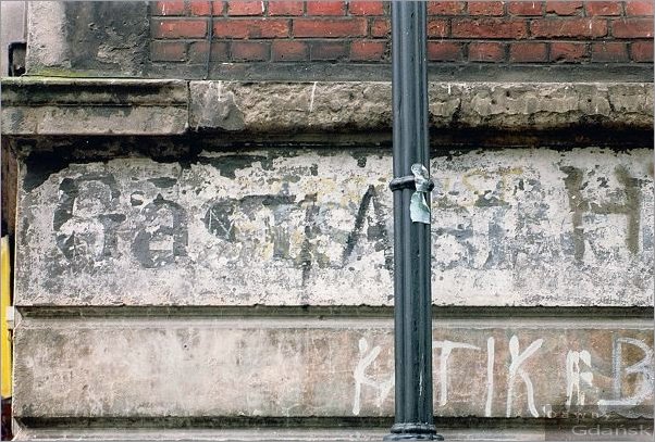 78.2 Zaroslak 8.jpg