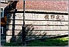 78.3 Zaroslak 8.jpg