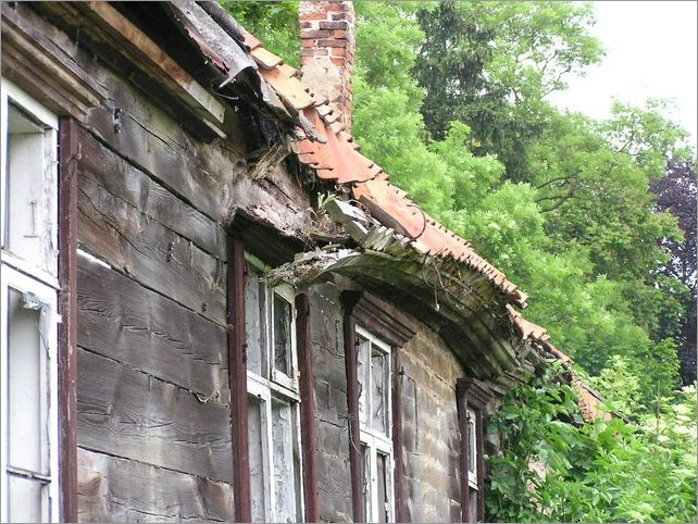 P1010018.JPG