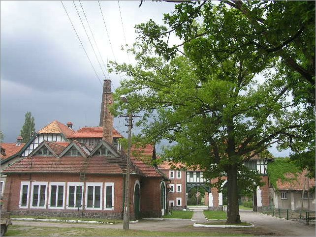 P1010105.JPG