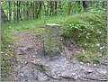 P1010037.JPG