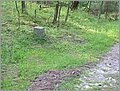 P1010040.JPG