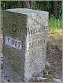 P1010043.JPG