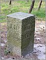 P1010044.JPG