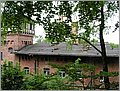 P1010096.JPG