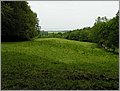 P1010103.JPG