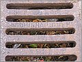 P1010127.JPG