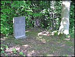 P1010006.JPG