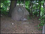 P1010023.JPG