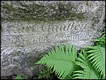 P1010027.JPG