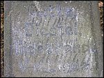 P1010032.JPG