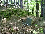 P1010035.JPG