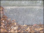 P1010036.JPG