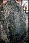 QD0001009.JPG