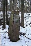 gdy_zrm_1.jpg