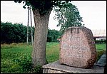 mikoszewo_1.jpg